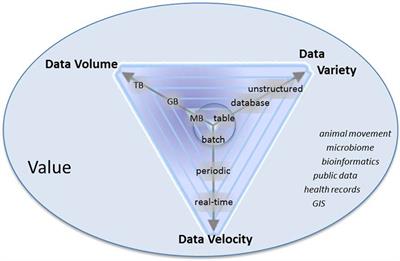 Translating Big Data into Smart Data for Veterinary Epidemiology